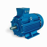 Three-phase motor E3AB3006137B30D41100asynchronous400 V690 V