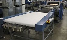 Belt conveyor SSB 550horizontaltransporthandling