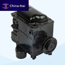 Combined pump CP2gearfuelelectric