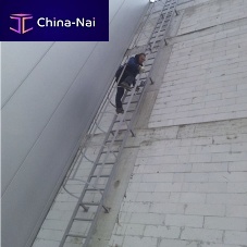 Ladder with safety cage RIMESmetal