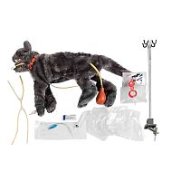 Emergency care training manikin VET4110for venipuncturebandagingCPR