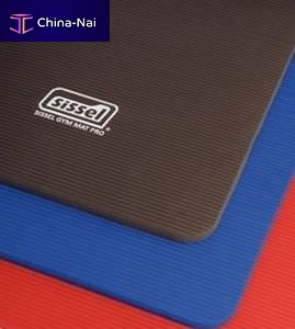 Exercise mat Gym Exercise mat Gym