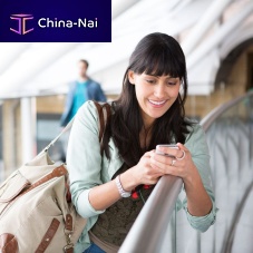 Passenger management software planningprocessfor airport