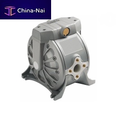 Diaphragm pump INOX1PTFE-EXwateracidfor solvents