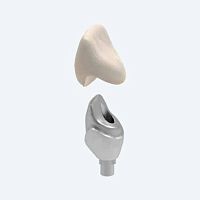 CAD/CAM implant abutment conicalzirconiainternal