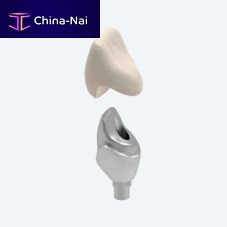 CAD/CAM implant abutment conicalzirconiainternal
