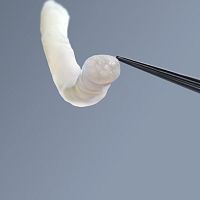 Nerve tissue matrix avance®allograft