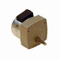 Stepper gear-motor LSG55 seriespermanent magnetplanetaryparallel-shaft