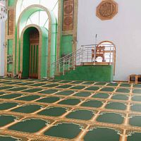 Tufted carpet MOSQUEcut pilepolyamidecommercial
