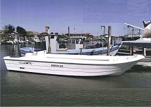 Inboard center console boat BREEZE 860twin-enginefiberglass16-person max.