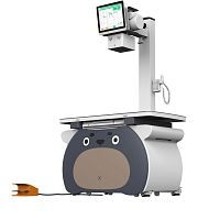Veterinary X-ray system T100digitalanalog