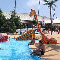 Fiberglass shower GIRAFFEfor water parkchild's