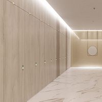 Entry door AUTODOORwoodenswingwithout glazing