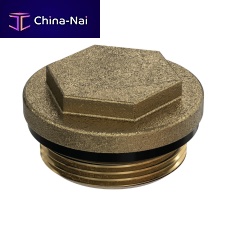 Blanking plug hexagonalthreadedmale