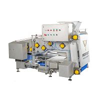 Fruit juice extractor POWERPRESS 1200for applesblackberryblueberry