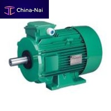 Three-phase motor LSinductionIP55aluminum-frame