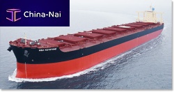 Bulk carrier cargo ship Capesize