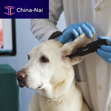 Video veterinary otoscope DE551for small animalsfor catsfor dogs