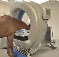 Veterinary CT scanner Pegasofor equines