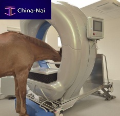 Veterinary CT scanner Pegasofor equines