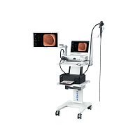 High-definition video gastroscope EG-GP13full HDwith integrated video monitor